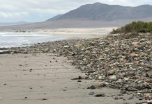 Huasco mantienes sus playa inhabilitadas tras marejadas que dejaron varios inconveniente en el sector costero.