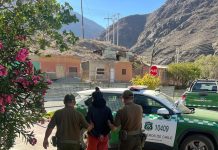 PLAN VERANO EN PROVINCIA DE HUASCO DEJÓ CUATRO DETENIDOS EL FIN DE SEMANA