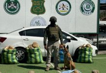En operativo conjunto de Carabineros Atacama y Antofagasta: TRES DETENIDOS Y MÁS DE 630 KILOS DE DROGA INCAUTADA