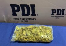 PDI ATACAMA DETUVO A UNA PERSONA POR MICROTRÁFICO DE DROGAS EN EL PARQUE EL PRETIL