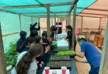 Alumnos de la Escuela Fortunato Soza de Carrizalillo aprenden técnicas de cultivo y cuidado de plantas