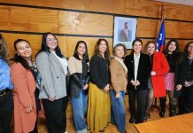 Con amplia participación de la macrozona norte se realizó la primera sesión de la Mesa de Género en CTCI 2025
