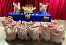 PDI ATACAMA INCAUTÓ MÁS DE MEDIA TONELADAS DE MATERIAL EXPLOSIVO EN CHAÑARAL