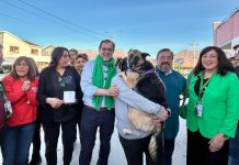 Mulet refuerza campaña desde Los Andes y destaca despliegue nacional