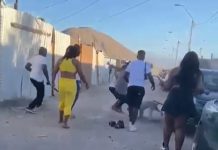 Copiapó: prófugo por delito de maltrato animal quedó en prisión preventiva