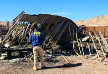 PDI INVESTIGA POSIBLE VINCULACIÓN ENTRE INCENDIO Y RIÑA CON DOS FALLECIDOS EN COPIAPÓ