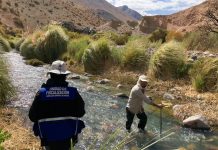 DGA Atacama logra obtener la cancelación de los derechos de agua del caso Río Matancilla, en la cuenca del Río Huasco