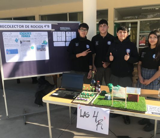 Estudiantes del Liceo Bicentenario Alto del Carmen presentan creativas iniciativas en feria de emprendimiento