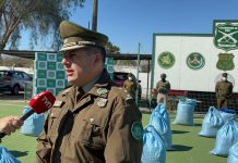 Camionero argentino es detenido en Atacama transportando más de 600 kilos de hojas de coca: Fiscalía ordena prisión preventiva