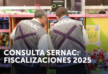 CONSULTA SERNAC: LOS CONSUMIDORES INDICAN QUE EL SERNAC DEBERÍA PRIORIZAR SUS ACCIONES FISCALIZADORAS EN LAS GRANDES TIENDAS Y SERVICIOS BÁSICOS
