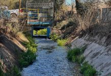 TRIBUNALES REALIZA DILIGENCIAS EN RÍO COPIAPÓ PARA DETERMINAR TRASLADO DE DERECHOS DE AGUA A TIERRA AMARILLA
