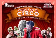 Celebración del Mes del Circo Chileno considera funciones gratuitas en siete comunas de la región