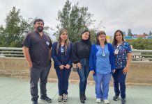 “Volví a vivir”: La emocionante historia del hijo reencontrado con su madre en Vallenar tras tres años desaparecido