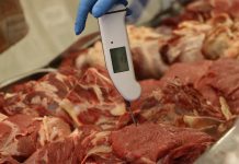 Seremi de Salud de Atacama realiza 117 fiscalizaciones y decomisa más de 1.7 toneladas de productos cárneos en el marco de Fiestas Patrias