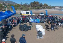CMP REFUERZA COMPROMISO AMBIENTAL EN JORNADA DE LIMPIEZA DE PLAYAS EN HUASCO