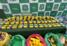Carabineros Incauta Casi 780 Kilos de Droga Tras Persecución en Ruta 5 Norte: Detenido Queda en Prisión Preventiva