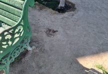 Fiscalía ordena diligencias por fallecimiento de hombre en situación de calle en Vallenar