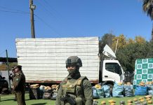 Histórica incautación de drogas en Atacama: CARABINEROS INTERCEPTA CERCA DE DOS TONELADAS DE SUSTANCIAS ILÍCITAS QUE ERAN TRASLADADAS EN UN CAMIÓN
