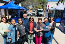 Copiapó: Vecinos de sector Ignacio Carrera Pinto recibirán charla del Ministerio de Desarrollo Social