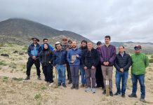 Autoridades llaman a un turismo responsable en el inicio de la temporada del Desierto Florido en Atacama