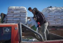 Crianceros de sector San Pedro reciben forraje para ganado en el marco del programa impulsado por Gobierno Regional e INDAP para el desarrollo del sector