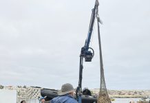 Sernapesca realizó la devolución de 600 kilos de machas incautadas por la Armada en Caldera