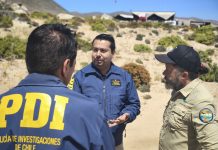 PDI ATACAMA Y CONAF REALIZAN POSITIVO BALANCE DEL FENÓMENO DESIERTO FLORIDO