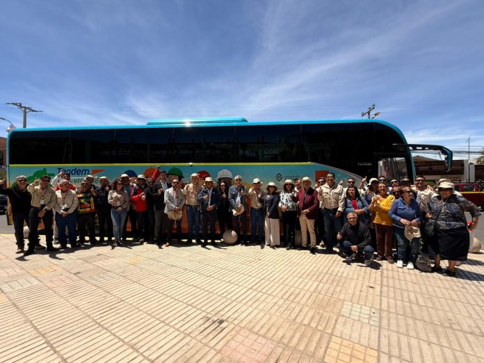 ElectroComunidad 1