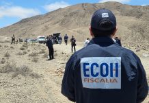 Copiapó: Fiscalía y PDI indagan muerte de ciclista fallecido tras ataque de perros