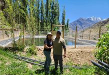 Pequeñas agricultoras de Atacama y Coquimbo podrán postular sus proyectos al concurso exclusivo para mujeres de la CNR