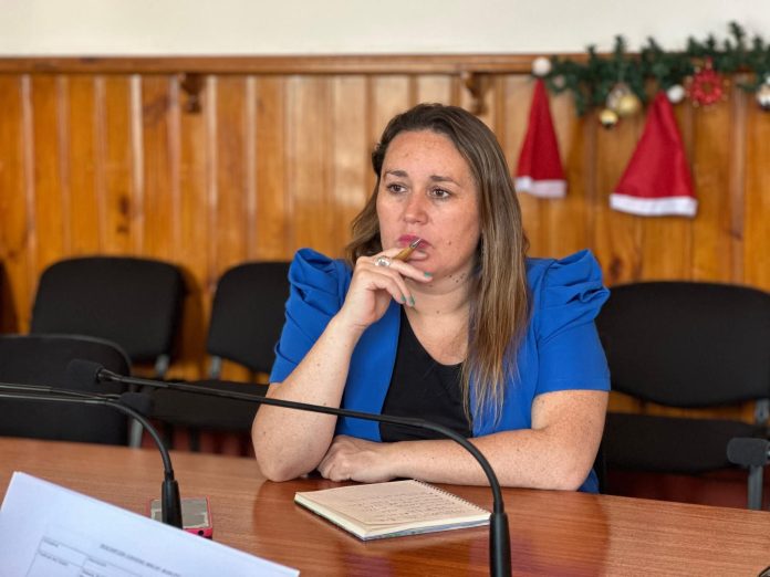 Paulina Palavecino López Seremi (s) de las Culturas, las Artes y el Patrimonio de Atacama, columna de opinión presupuesto 2026 (1)
