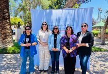 Seremi Verónica Rivera destacó avances de prevención y sanción y erradicación de la violencia contra las mujeres