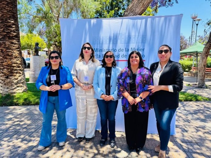 Seremi Desarrollo Social y Eliminación Violencia Contra La Mujer