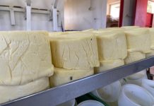 Autoridad Sanitaria prohíbe funcionamiento de fábrica de quesos en Vallenar