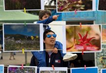 VALLENAR CELEBRA A LOS GANADORES DEL CONCURSO ARTÍSTICO “VALLENAR VIVE EL DESIERTO FLORIDO”