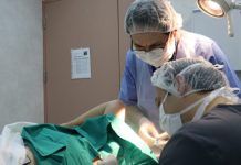 Estrategia Teledermatología permite resolver más de 2000 atenciones en Atención Primaria