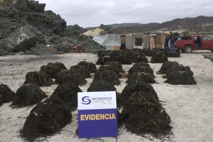 incautacion-algaspardas-caldera1