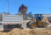 Municipalidad de Vallenar inicia plan de recuperación del sector ribereño tras deficiencias en trabajos anteriores