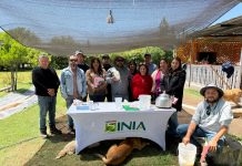INIA Intihuasi impulsa talleres en Atacama para fortalecer capacidades en hidroponía y manejo de invernaderos