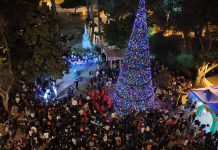 Municipalidad de Copiapó encendió árbol de Navidad de 16 metros