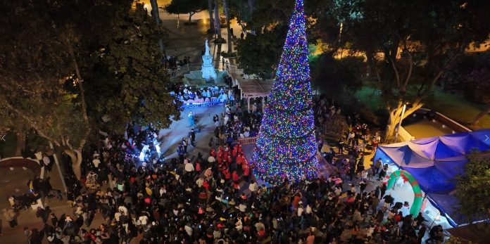 Arbolito navidad 1
