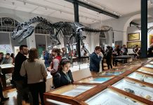 Paleontología de Atacama marcó presencia en Reunión Anual de la Sociedad de Paleontología de Vertebrados