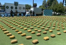 Copiapó: Fiscalía obtiene prisión preventiva de siete imputados por tráfico de más de una tonelada de droga