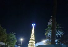 Vallenar encendió su árbol de Navidad con emotiva celebración comunitaria y un gran marco de Publico