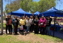 Comunidad Colla Juan Bautista realizó exhibición de trabajos de pintura en género