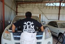 Capital Pioneras en Atacama: 17 mujeres ingresaron a rubros históricamente masculinizados con apoyo de Sercotec.