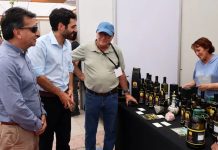 Copiapó y Vallenar: Cerca de 80 emprendimientos de Sercotec participaron por primera vez en “Congreso Futuro 2026”