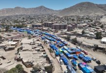 Feria de la Candelaria 2026: venta de puestos se realizará por primera vez completamente online