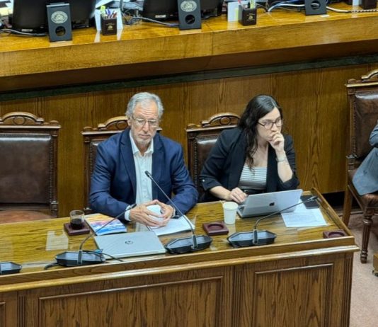 Senado aprobó proyecto de Ferias Libres quedando a pasos de ser Ley