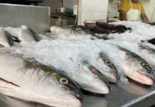 Seremi de Salud de Atacama refuerza medidas para prevenir intoxicaciones alimentarias por consumo de pescados y mariscos